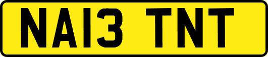 NA13TNT