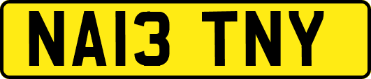 NA13TNY