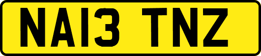 NA13TNZ