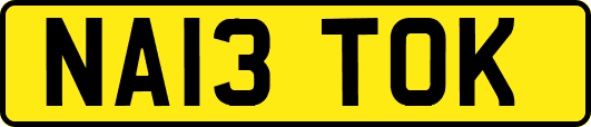NA13TOK