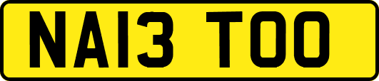 NA13TOO