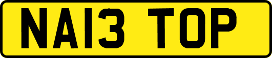 NA13TOP