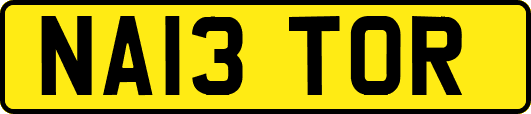NA13TOR