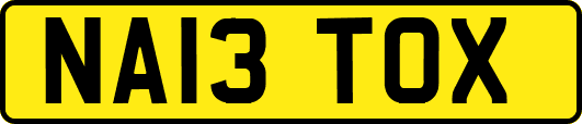 NA13TOX