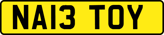NA13TOY