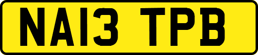 NA13TPB