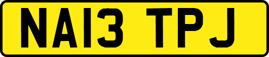 NA13TPJ