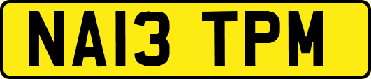 NA13TPM