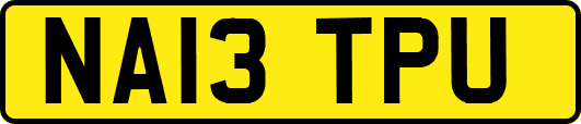 NA13TPU