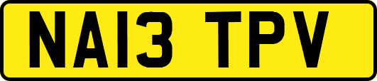NA13TPV