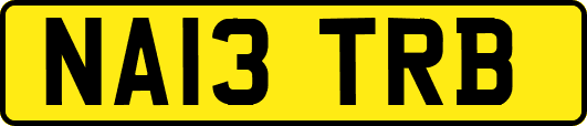 NA13TRB