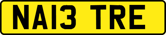 NA13TRE