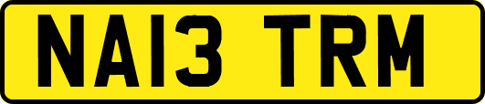NA13TRM