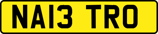 NA13TRO