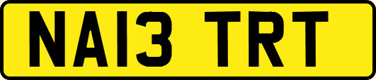 NA13TRT