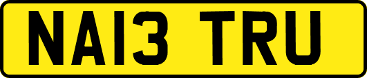 NA13TRU
