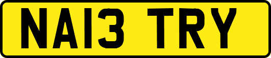 NA13TRY