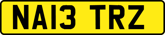 NA13TRZ