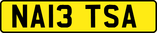 NA13TSA