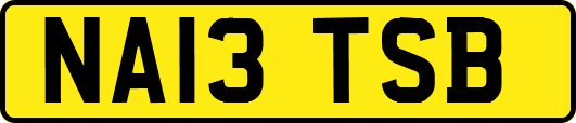 NA13TSB