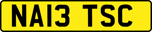 NA13TSC
