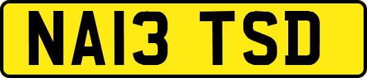 NA13TSD