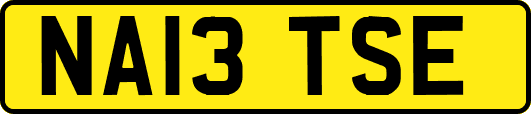 NA13TSE