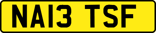 NA13TSF