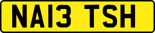 NA13TSH
