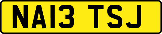 NA13TSJ