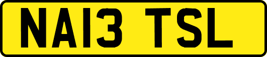 NA13TSL