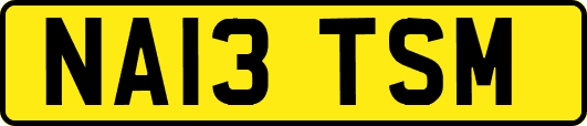 NA13TSM
