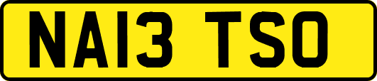 NA13TSO