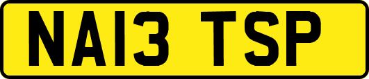 NA13TSP