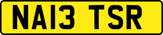 NA13TSR