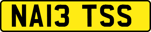 NA13TSS