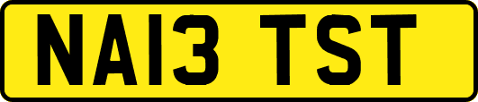 NA13TST