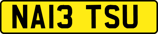 NA13TSU