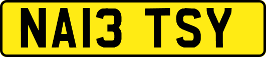 NA13TSY