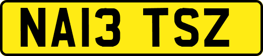 NA13TSZ