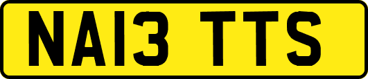 NA13TTS