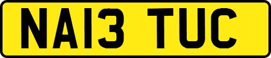 NA13TUC