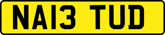 NA13TUD