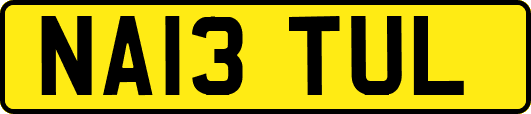 NA13TUL