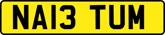 NA13TUM