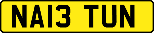 NA13TUN