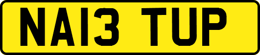 NA13TUP