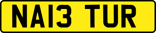 NA13TUR