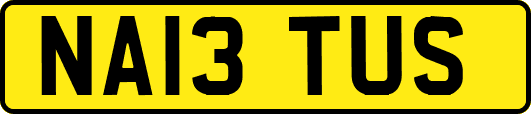 NA13TUS