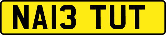 NA13TUT